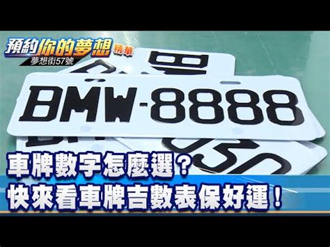 車牌英文字母吉凶|車牌英文吉凶大揭秘